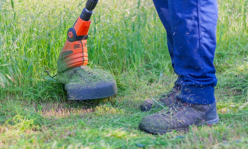 Ako správne používať vyžínač bez poškodenia trávnika Ako správne používať vyžínač bez poškodenia trávnika