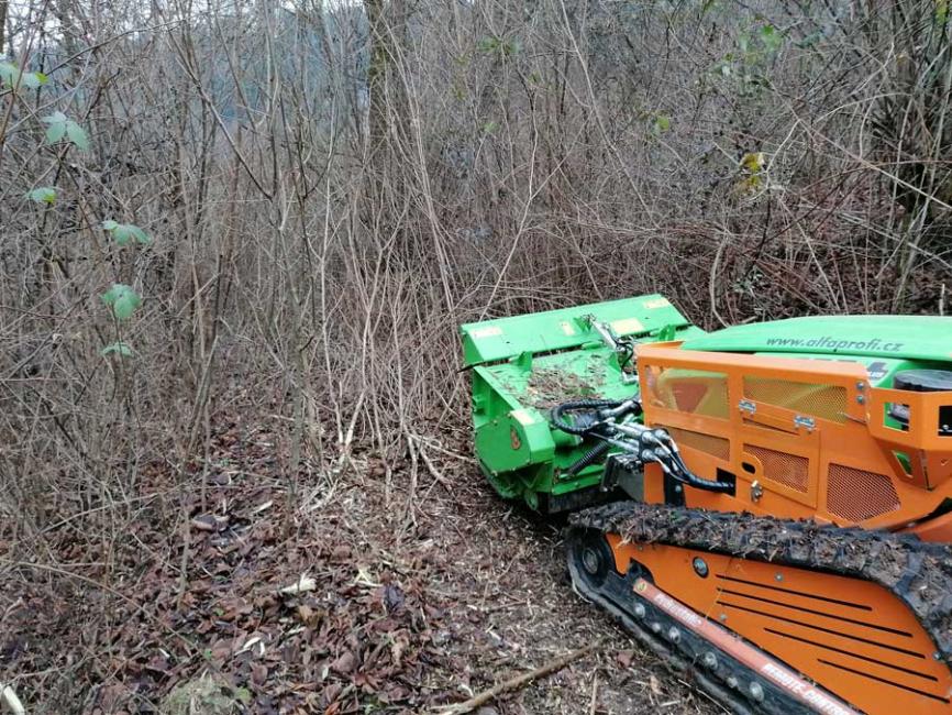 Ako vyčistiť zarastený pozemok bez námahy Ako vyčistiť zarastený pozemok bez námahy